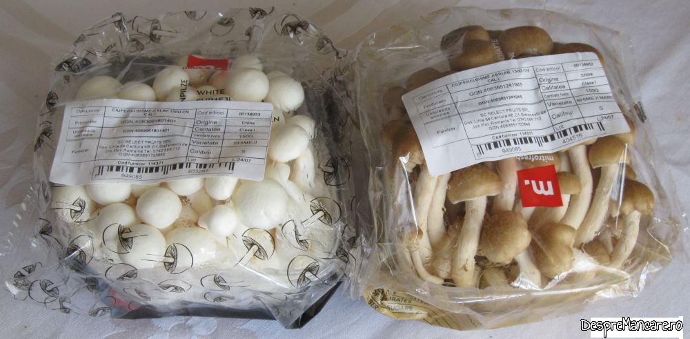 ciuperci asiatice (1)