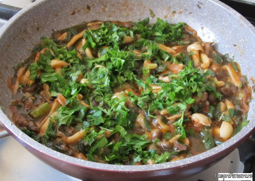 mititei la tigaia gril cu garnitura de ciuperci si salata orientala (10)