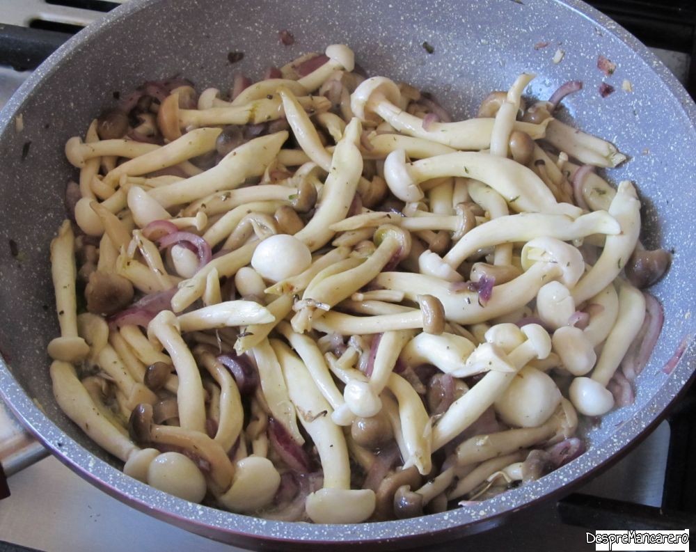 mititei la tigaia gril cu garnitura de ciuperci si salata orientala (5)