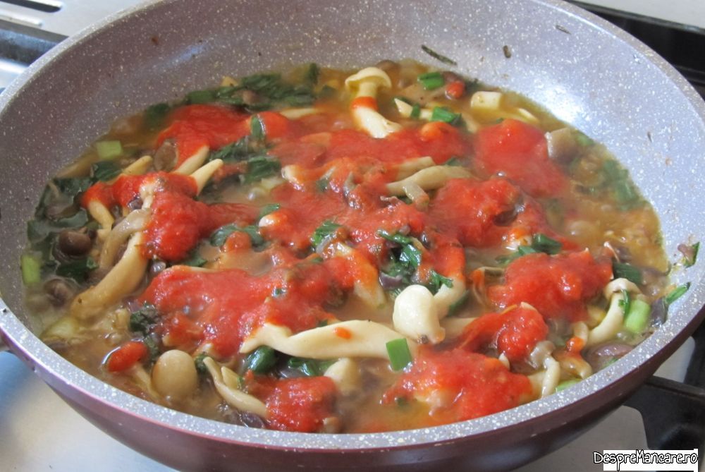mititei la tigaia gril cu garnitura de ciuperci si salata orientala (7)