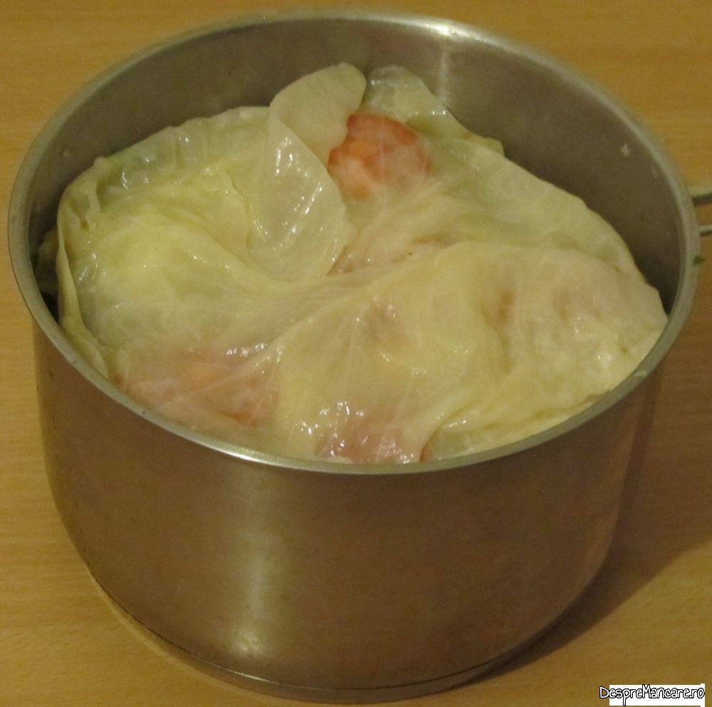 sarmale din varza acra si tocatura din carne de somon (6)