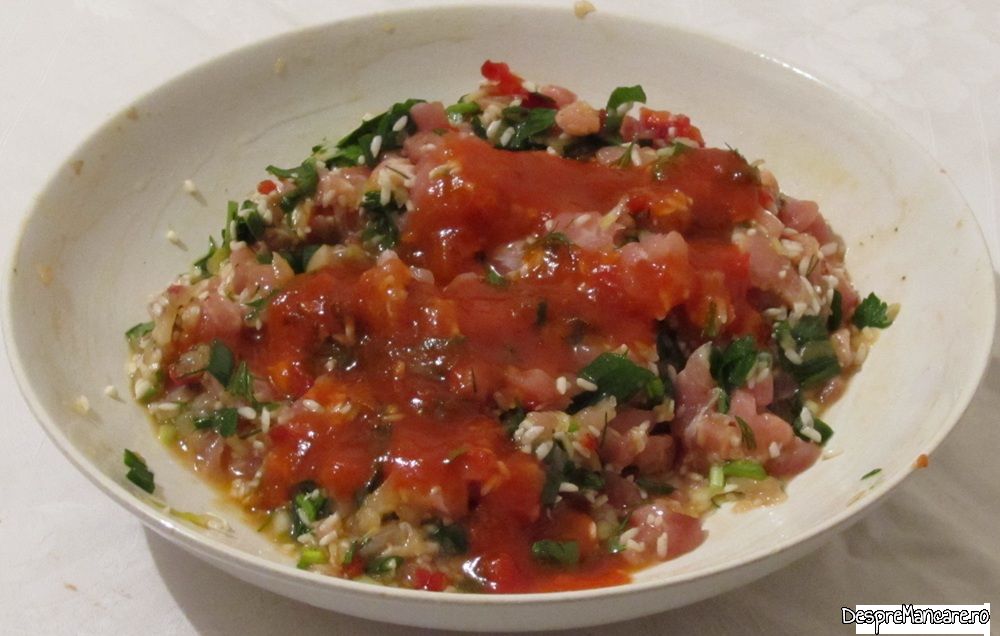 ardei umpluti cu carne de curcan (3)
