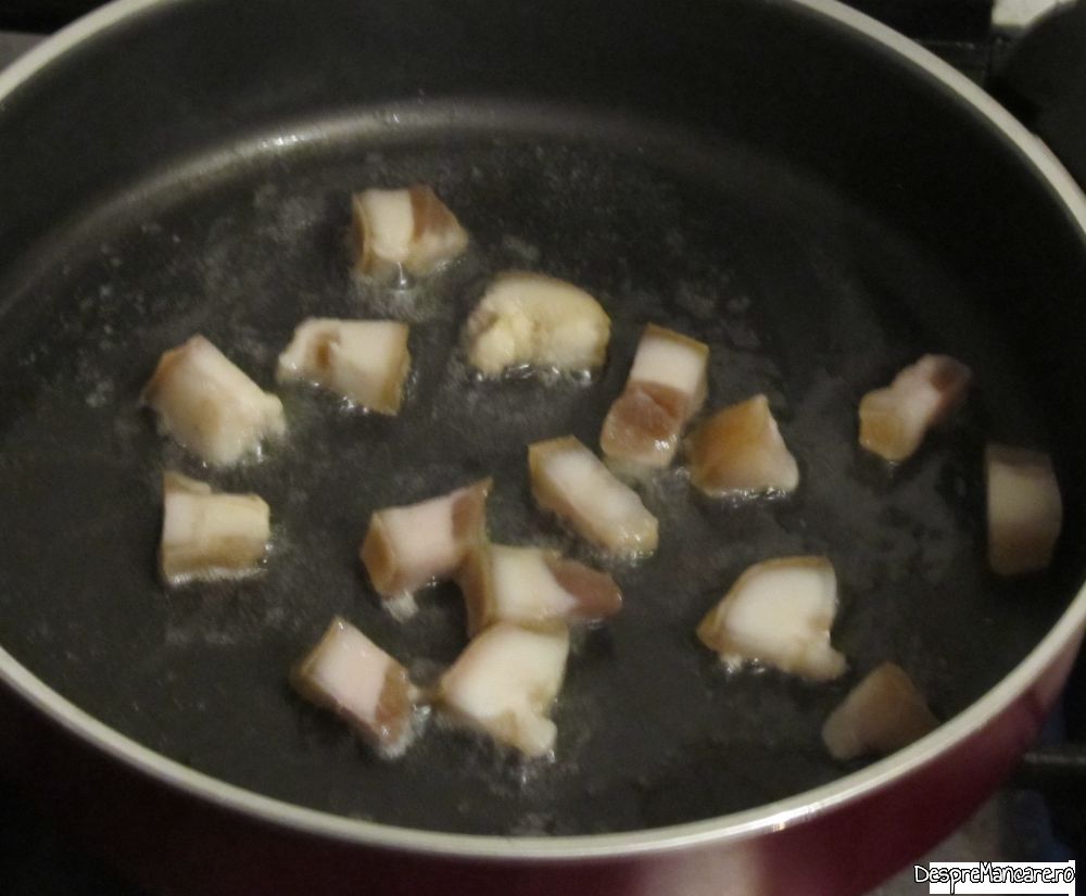 mancarica din genunchi si urechi de porc (3)