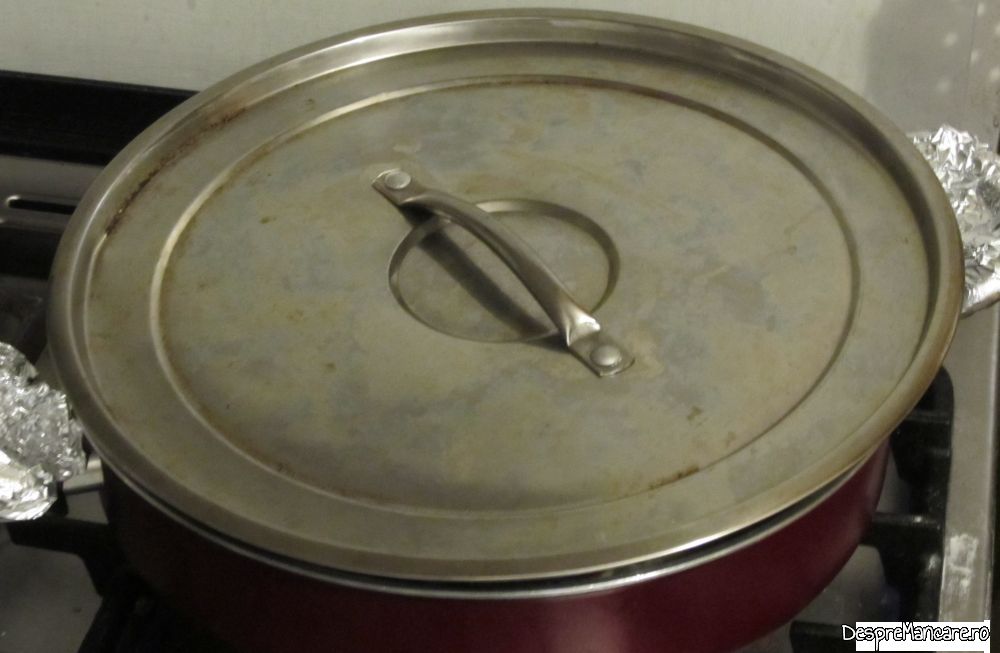 mancarica din genunchi si urechi de porc (9)