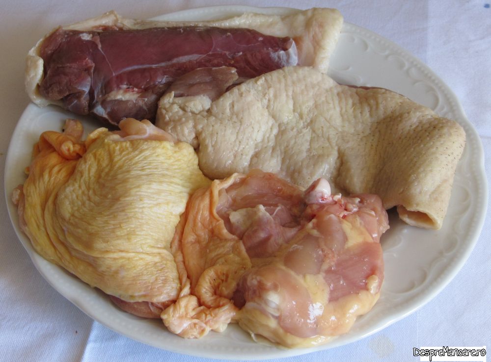 piept de rata si pulpe superioare de pui cu gorgonzola la tigaia gril (1)