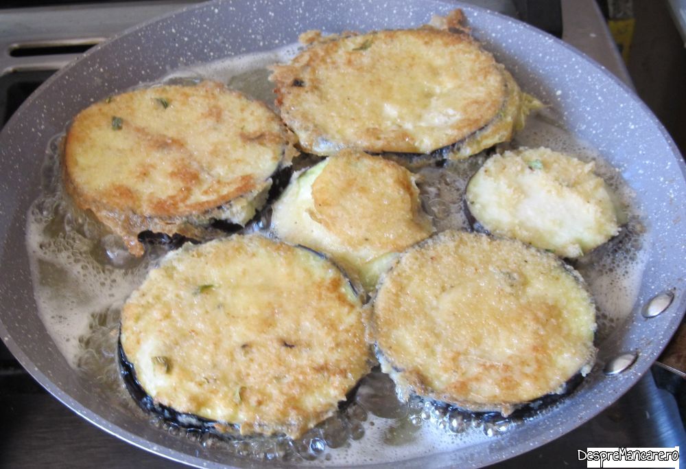 piept de rata si pulpe superioare de pui cu gorgonzola la tigaia gril (4)