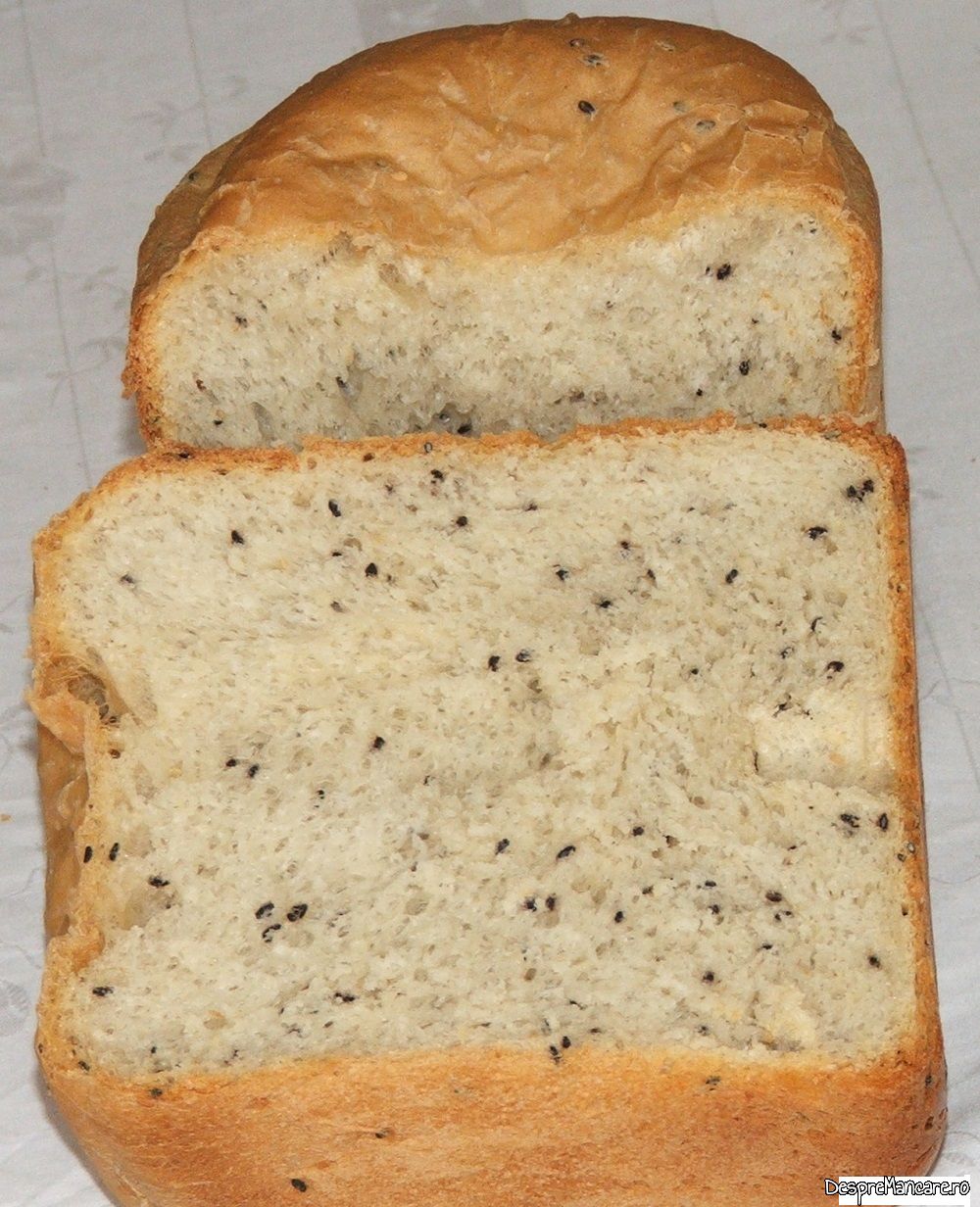 paine de casa la cuptorul minune (6)
