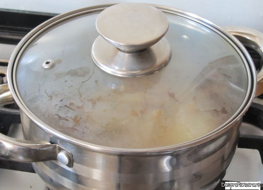 pulpa de vitel inabusita in suc de rosii cu spaghete (7)