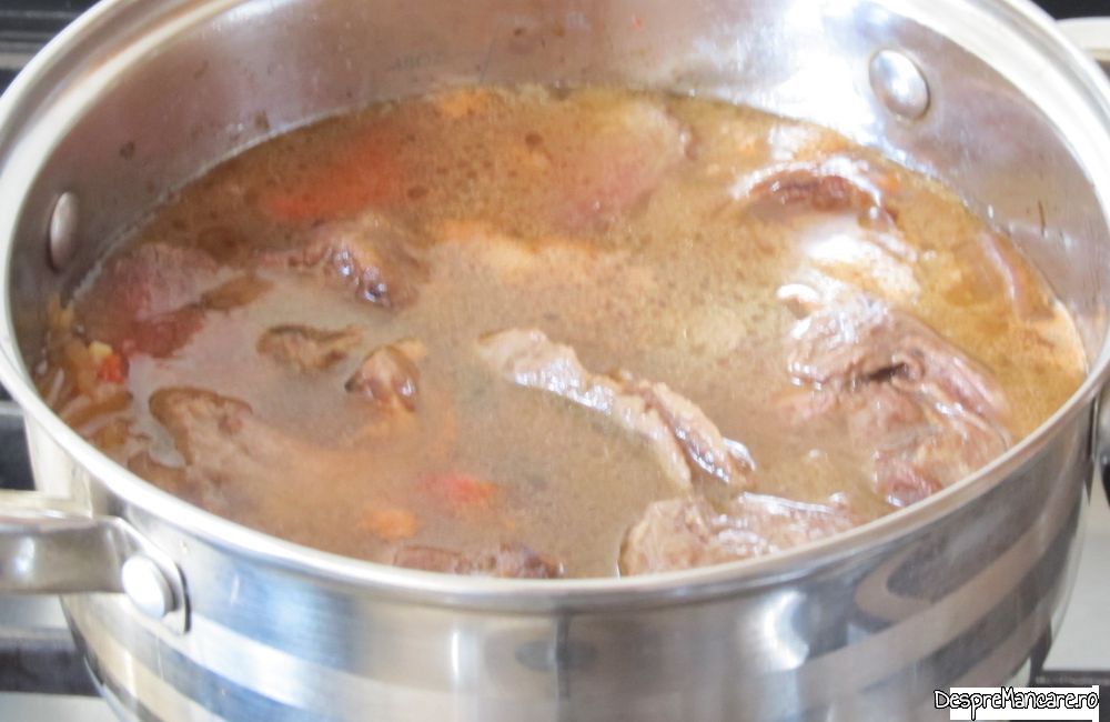 pulpa de vitel inabusita in suc de rosii cu spaghete (9)