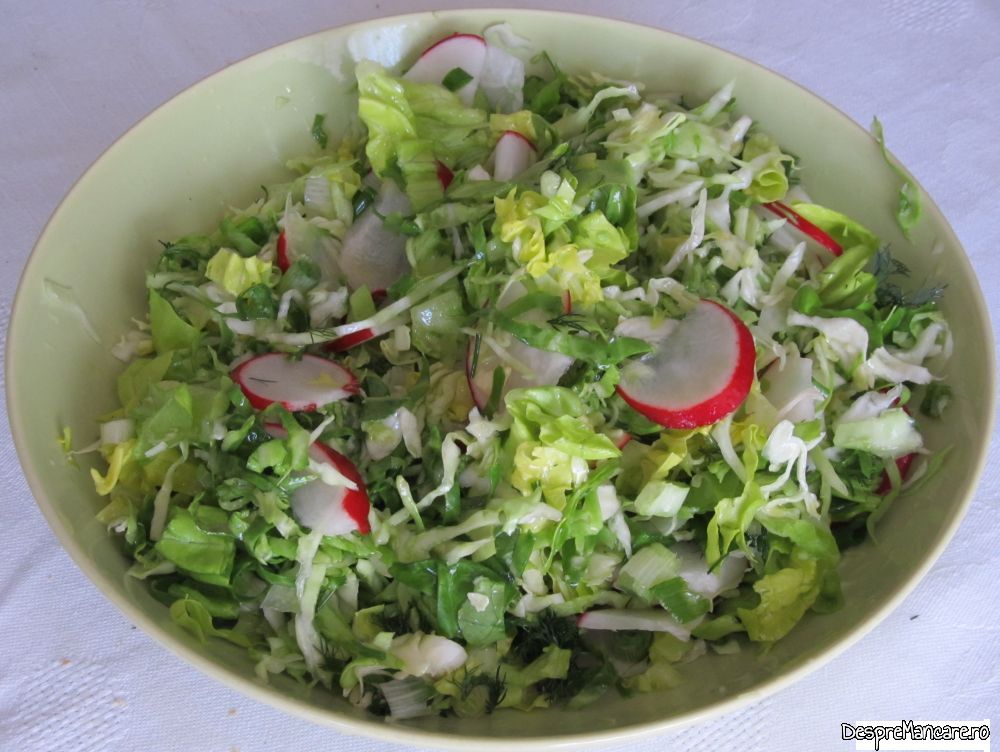 budinca cu legume, branza, smsntana, oua si mezel (10)