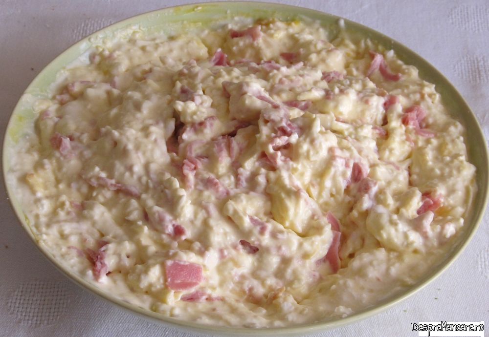 budinca cu legume, branza, smsntana, oua si mezel (7)
