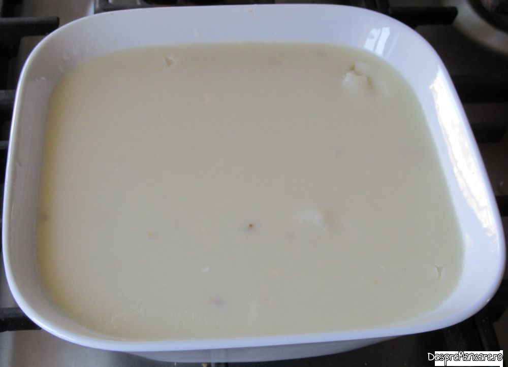 concentrat (colagen) din oase de vita (10)