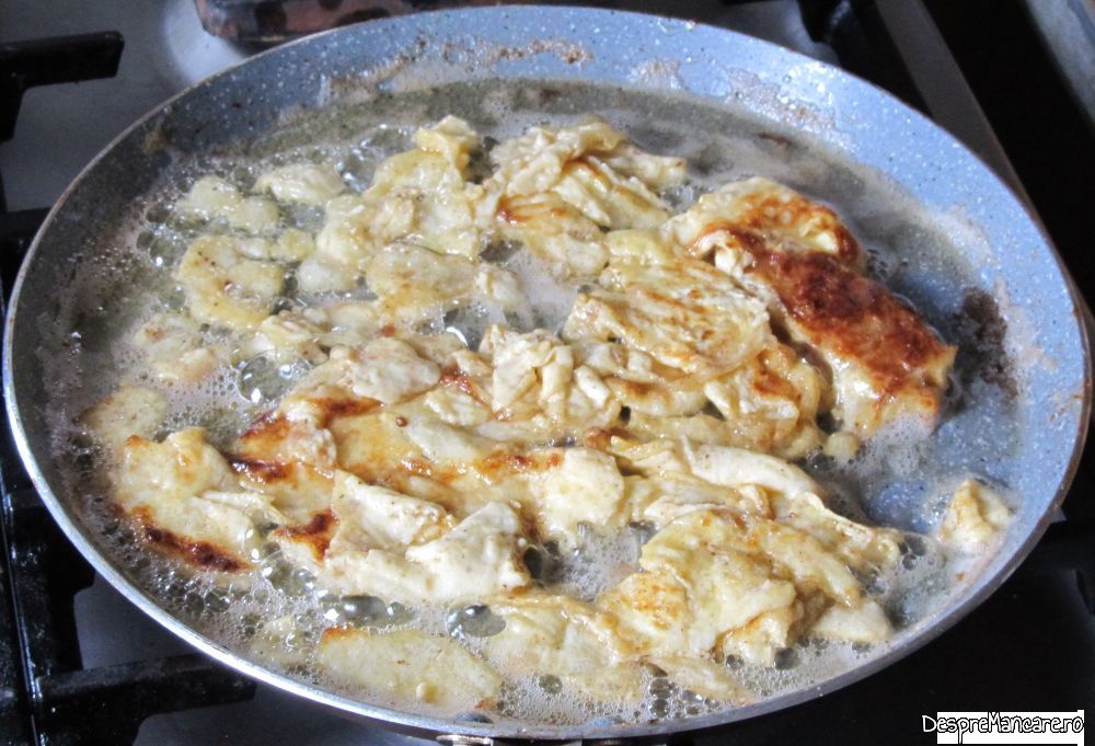friganele altfel (17)