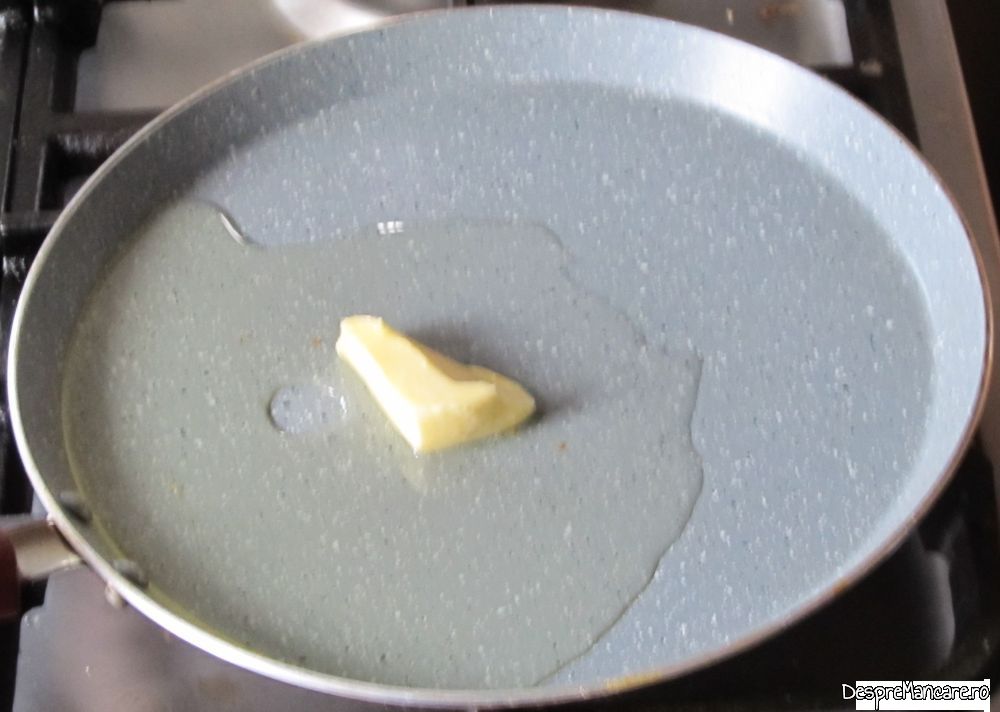 friganele altfel (4)