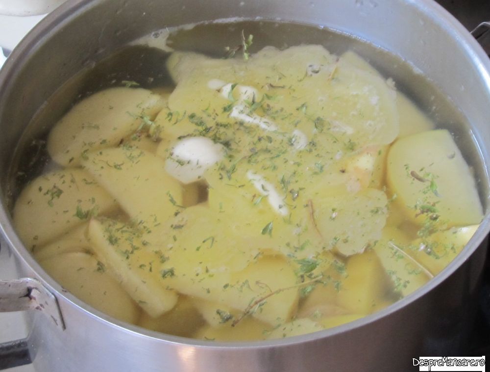 tocana cu ardei copt din pulpa de vitel (6)