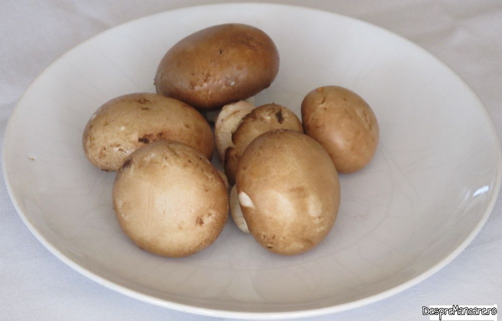 pane' uri din vinete (12)