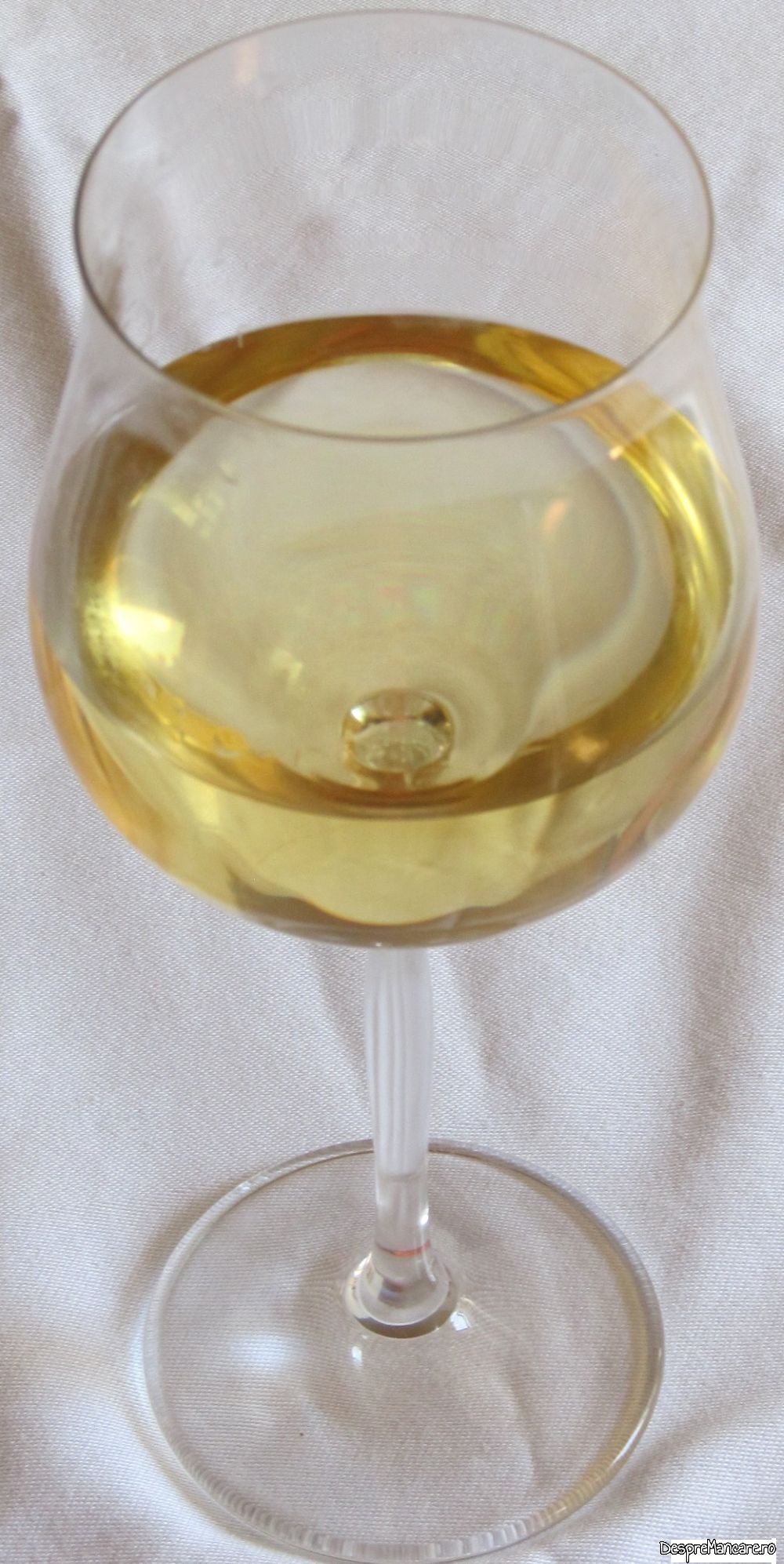 scoici Saint Jacques si somon norvegian cu spaghete (11)